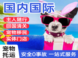 阿拉善左旗巴彦浩特航空空运国际宠物托运 【国